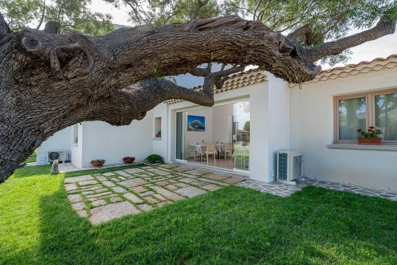 Residenza L'Alzoni Hotel San Teodoro  Ngoại thất bức ảnh